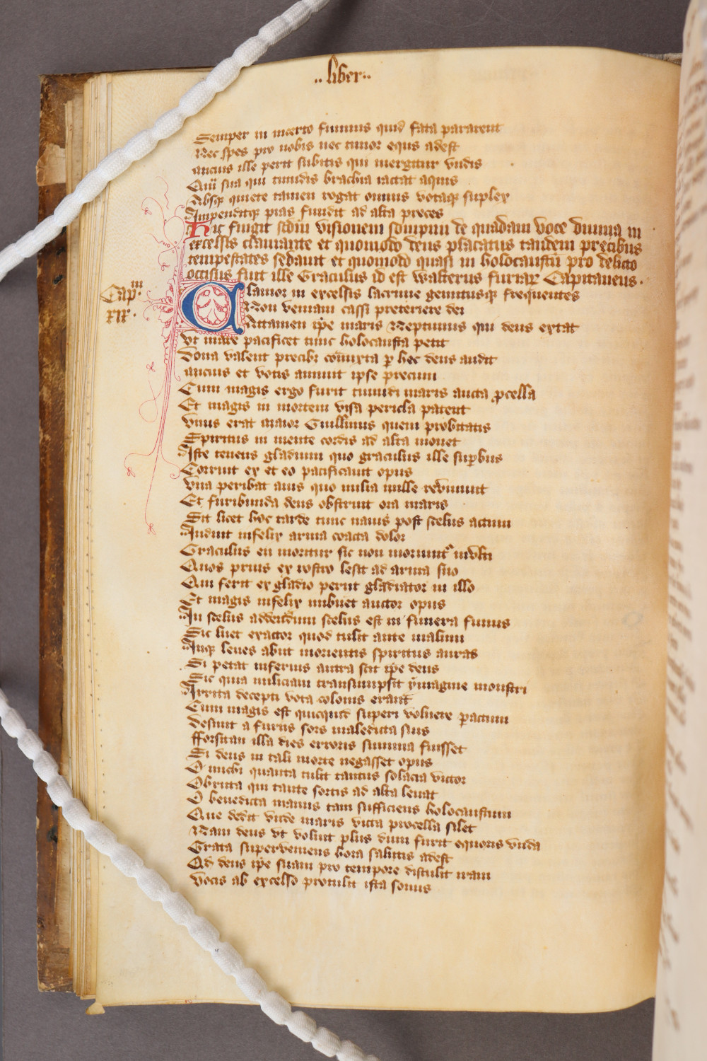 Folio 24 verso
